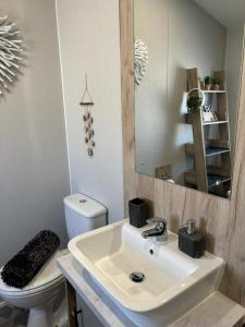 a bathroom with a sink and a toilet and a mirror at Seafront Serenity Lodge in Newbiggin-by-the-Sea +48 photos