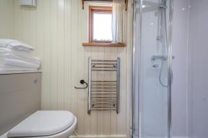 a bathroom with a toilet and a shower at Plas Uchaf Farm Retreat in Llannefydd +21 photos