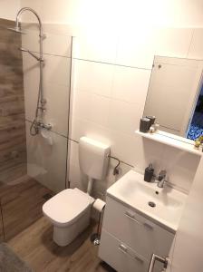 a bathroom with a toilet and a sink and a shower at Apartment Jacky in Rovinj