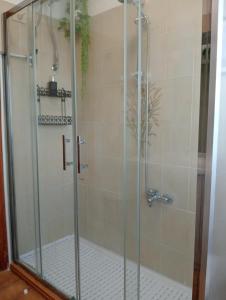 a shower with a glass door in a bathroom at Casa Carolina Vista Lago e Giardino Privato a San Gimignano in San Gimignano