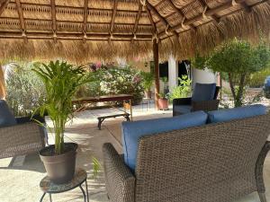 a patio with a blue couch and chairs and a straw umbrella at Estancia Calafia in Los Pozos