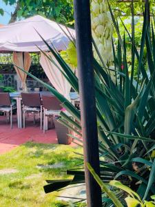 a table and chairs with an umbrella in the grass at Къща за гости Алекс in Sinemorets