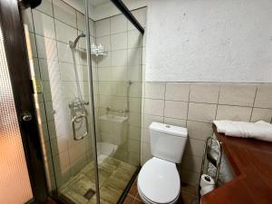 un bagno con wc e doccia in vetro di Departamento mirador en Villa Florita, la mejor vista de La Paz a La Paz