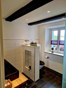 un baño con chimenea y un inodoro. en Ferienhaus Am Brunnen, en Thale