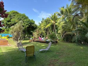 three chairs sitting in a yard with palm trees at Le Pitaya in Sainte-Rose