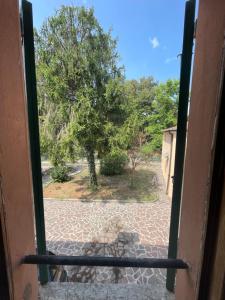 una puerta abierta con vistas a un árbol en Casa Aurora, en Borgoforte 15 fotos más