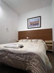 1 dormitorio con 1 cama grande con una foto en la pared en Hospedaje Malvinas, en Alta Gracia