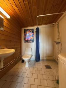 Koupelna v ubytování Bjorliheimen Fjellhotell-Hytte 10 & 17