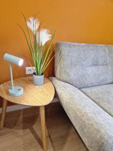 a table with a plant on it next to a couch at Casa Mateo Mediterranes Studio in Bielefeld