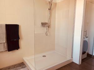 a shower with a glass door in a bathroom at FeWo Conny in Quedlinburg