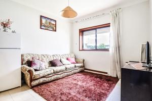 a living room with a couch and a television at Amorosa house in Viana do Castelo