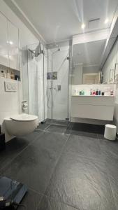 a bathroom with a shower and a toilet and a sink at Exklusive 60qm Designerwohnung im Herzen von München - 1 min zur Maximilianstraße in Munich