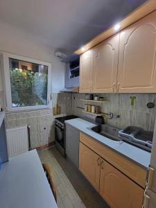 Una cocina o cocineta en Ljuba