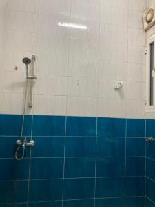 a bathroom with a shower with blue and white tiles at La Villa in Muscat