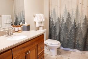 a bathroom with a toilet and a shower curtain at Winwood Condominiums by Windham Mountain Club in Windham +60 photos
