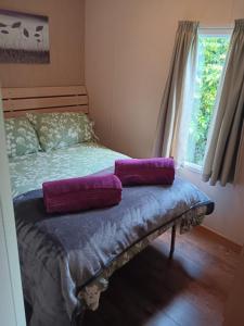 a bedroom with a bed with purple pillows on it at Hendre Glamping- Caravan Bryngwyn in Boncath