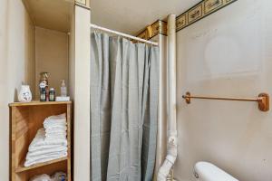a bathroom with a shower with a shower curtain at Hager Cabin AND Loft in Aledo +29 photos