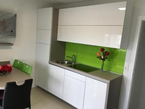 Kuchyň nebo kuchyňský kout v ubytování Apartmani Zaton