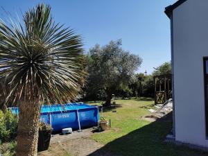 eine Palme und ein blaues Boot in einem Hof in der Unterkunft Ker EL-RAPHA in Saint-Avé