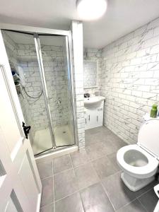 a bathroom with a shower and a toilet and a sink at Maison Hillview au coeur de Macroom in Macroom +15 photos