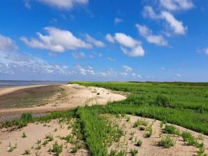 Un camino de tierra que conduce al océano en una playa. en 5 person holiday home in Rømø-By Traum, en Rømø Kirkeby