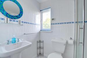 a bathroom with a toilet and a sink and a mirror at Elvor in New Quay +18 photos