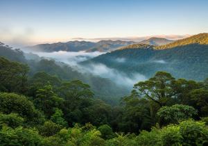 a misty valley in the mountains with trees at Basecamp Monteverde in Monteverde Costa Rica