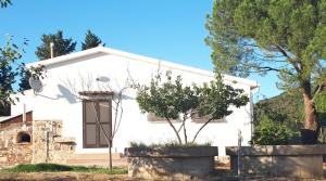 a white house with a tree in front of it at Casetta Patrizia in Capo Comino