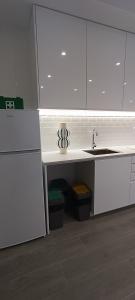 - une cuisine avec un évier et un comptoir avec deux poubelles dans l'établissement Skynest 59 Faro Airport Guest House, à l'aéroport de Faro