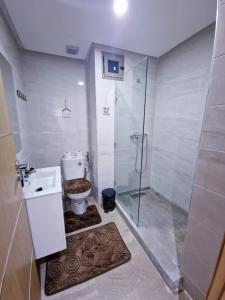 a bathroom with a shower and a toilet and a sink at Magnifique Appartement centre ville Kénitra in Kenitra +12 photos