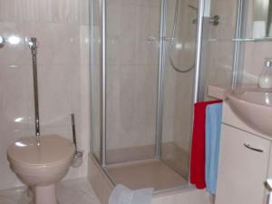 Un baño con ducha, inodoro y lavabo. en Apartment Ilse Herbert, en Würzburg 15 fotos más