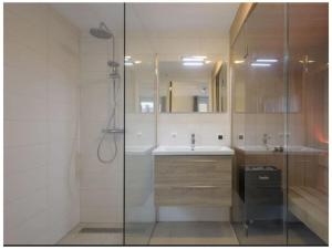 a bathroom with a shower and a sink and a mirror at Holiday home with 2 bedrooms in Veere