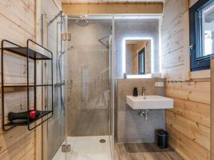 a bathroom with a shower and a sink at Bergwaldchalet Wellness 7 in Schierke +21 photos