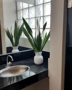 un bagno con lavandino e due piante su un bancone di Hospedaria Em Lagoa - Apto 102 - Residencial Cota a Lagoa da Prata