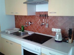 Kuchyň nebo kuchyňský kout v ubytování Apartments Dida moj