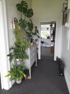 Fotografie z fotogalerie ubytování Ellie's Villa v destinaci Brydone