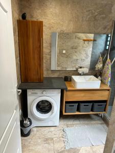 a bathroom with a washing machine and a sink at F3 panoramique l horizon in Petite Île