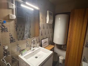 ein Badezimmer mit Waschbecken und Spiegel in der Unterkunft Appartement au pied des pistes à Super Besse - FR-1-814-61 in Besse-et-Saint-Anastaise + 5 Fotos