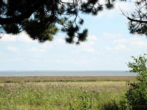 Příroda nedaleko prázdninového domu