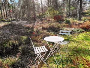 a table and two chairs in a field at 4 person holiday home in Ellös in Ellos
