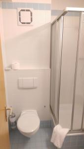 a bathroom with a toilet and a shower at Apartmány v Bavorském lese in Mitterfirmiansreut