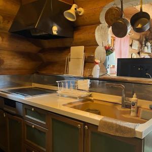 une cuisine avec un évier et un plan de travail dans l'établissement Cottage Dejavu & Harvest - Vacation STAY 03242v, à Uwano