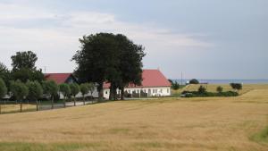 Příroda nedaleko bed and breakfast
