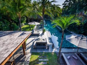 an overhead view of a pool with chairs and umbrellas at Villa Yoga in Seminyak