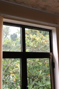 una finestra con vista su un albero di Guest house Tsandrypsh a Tsandrypsh