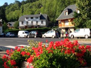 Foto de la galería de La Vue sur le Paradis en Chambon-sur-Lac