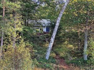 a small house in the middle of the forest at 4 person holiday home in SKÅNES-FAGERHULT in Skånes Fagerhult