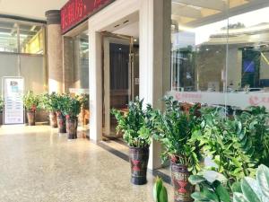 a row of potted plants in front of a store at Wenxing Hotel Dongguan Qifeng Branch in Dongguan