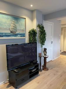 einen Flachbild-TV im Wohnzimmer mit 2 Pflanzen in der Unterkunft Flott moderne leilighet meget sentralt i vakre Sørbyen i Brønnøysund for inntil 5 pers in Brønnøysund