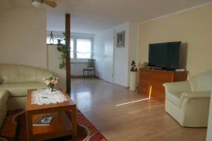 a living room with a couch and a tv at Ferienwohnung Maul 